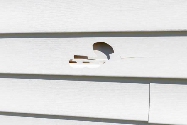 Best Property Management Cleanouts  in Centerville, IN